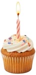 a cupcake with a candle on top.jpg